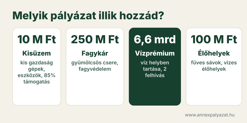 mezőgazdasági beruházási pályázat;